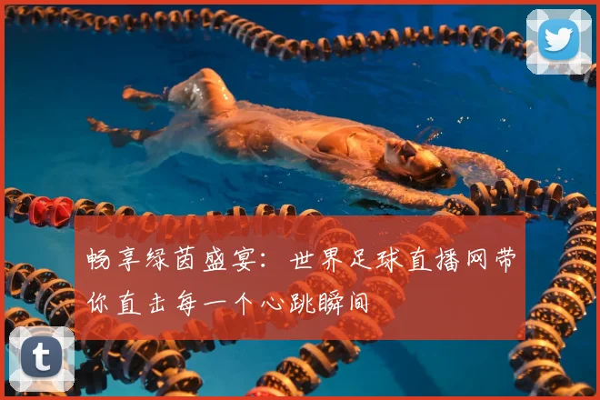 畅享绿茵盛宴：世界足球直播网带你直击每一个心跳瞬间
