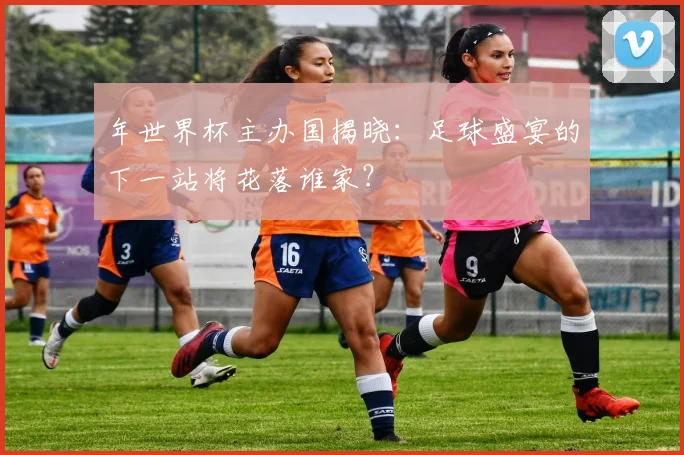 年世界杯主办国揭晓:足球盛宴的下一站将花落谁家?