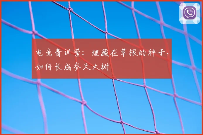 电竞青训营：埋藏在草根的种子，如何长成参天大树